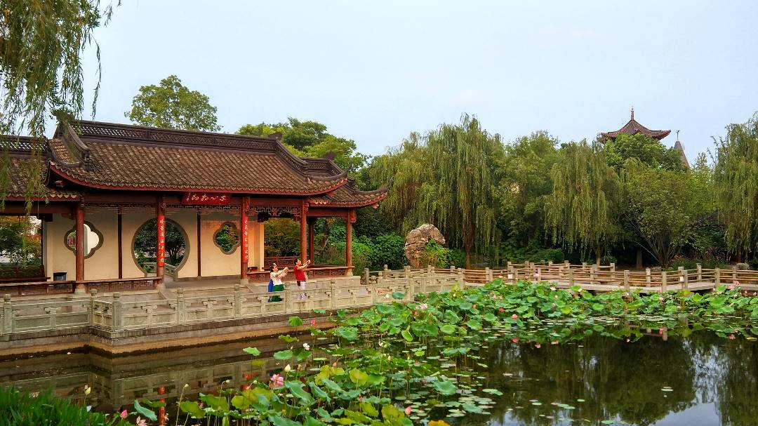 IMG_20190710_185254_HDR_鍓湰.jpg