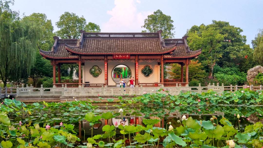 IMG_20190710_185157_HDR_鍓湰.jpg