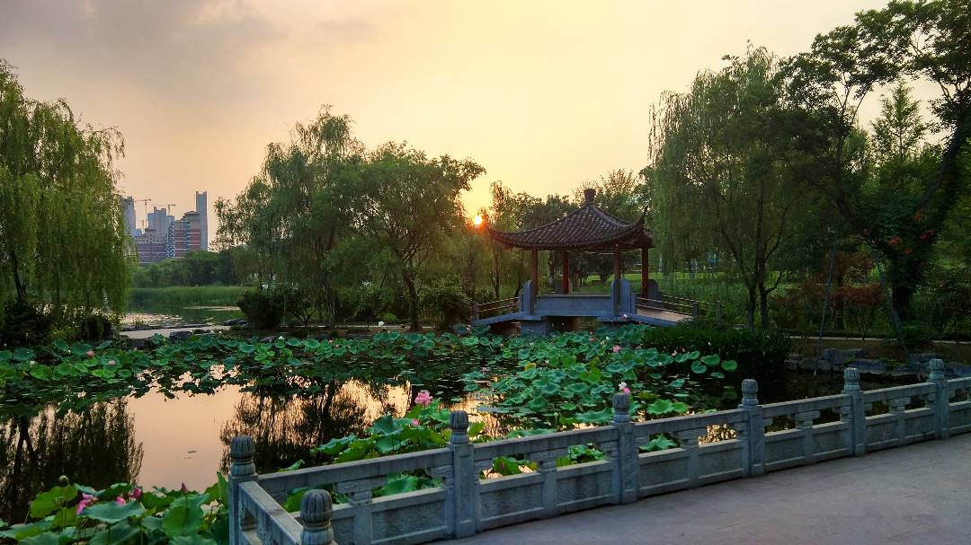 IMG_20190710_190033_HDR_鍓湰.jpg