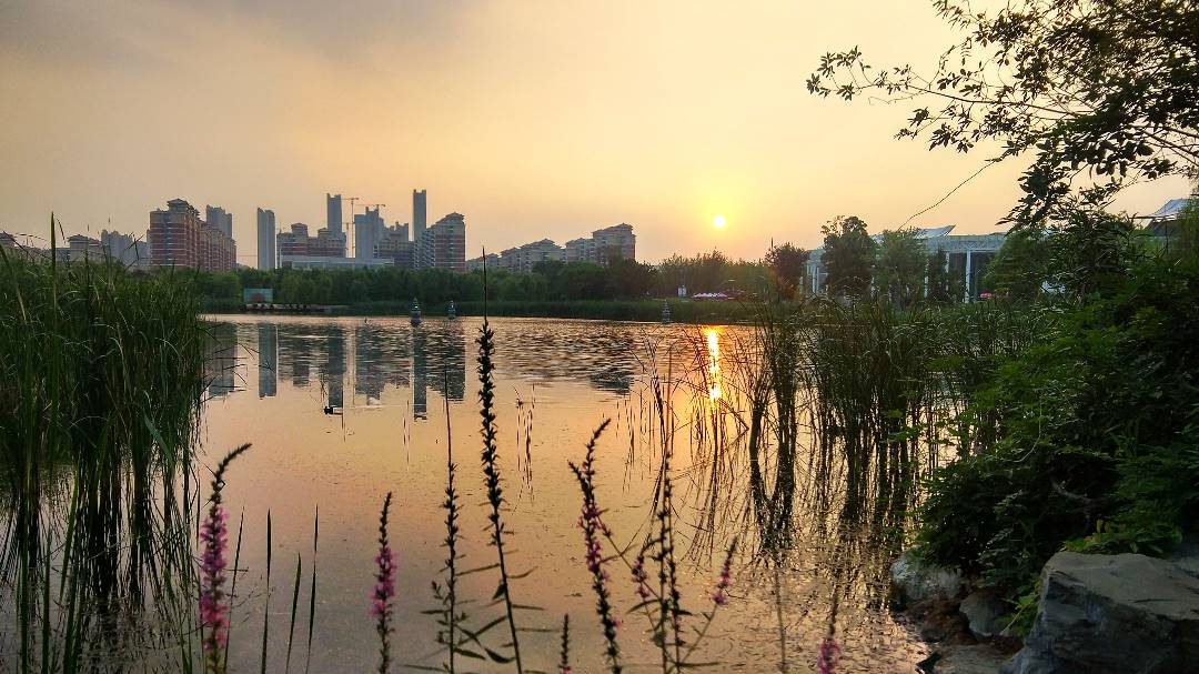 IMG_20190710_185825_HDR_鍓湰.jpg