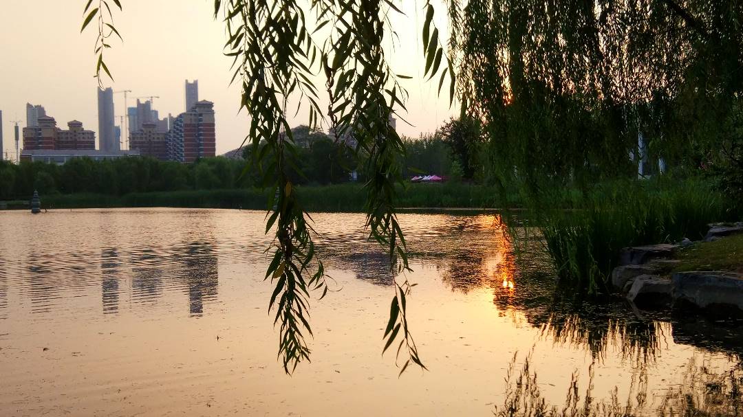 IMG_20190710_185652_HDR_鍓湰.jpg