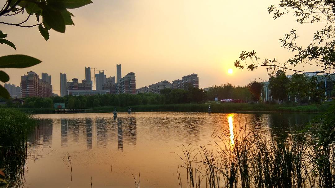 IMG_20190710_185849_HDR_鍓湰.jpg