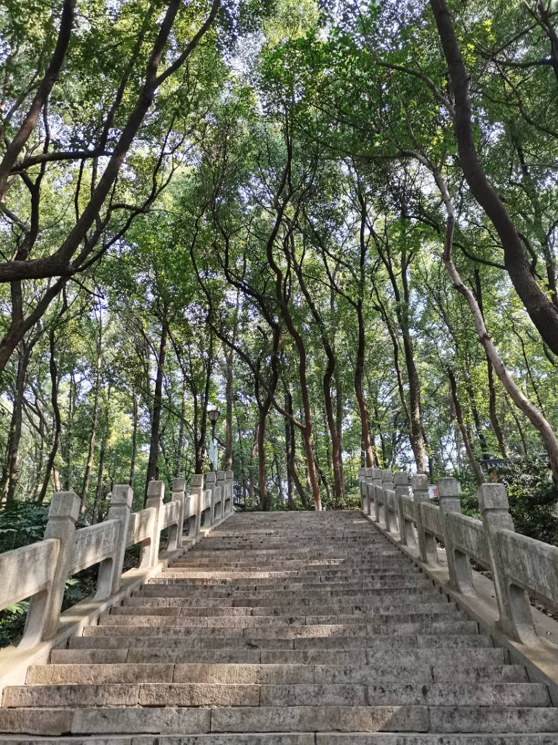 寰俊鍥剧墖_20200911200633.jpg