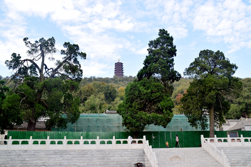 DSC_6692.JPG