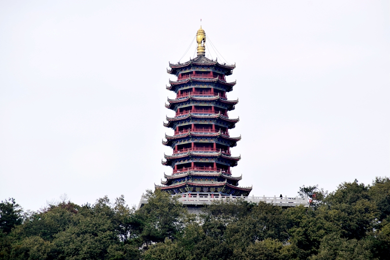 DSC_6662.JPG