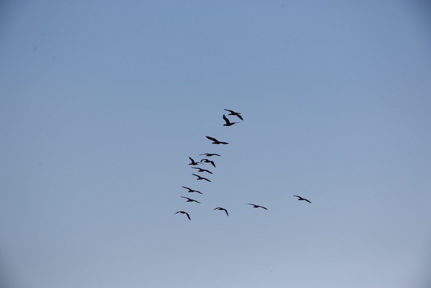 AAB90B5F-DF2C-4AB2-9F78-85093BC5134F.jpeg