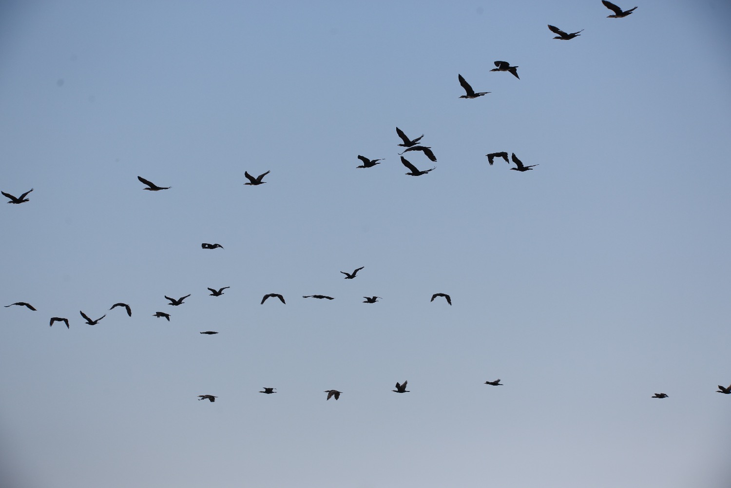 AAB90B5F-DF2C-4AB2-9F78-85093BC5134F.jpeg