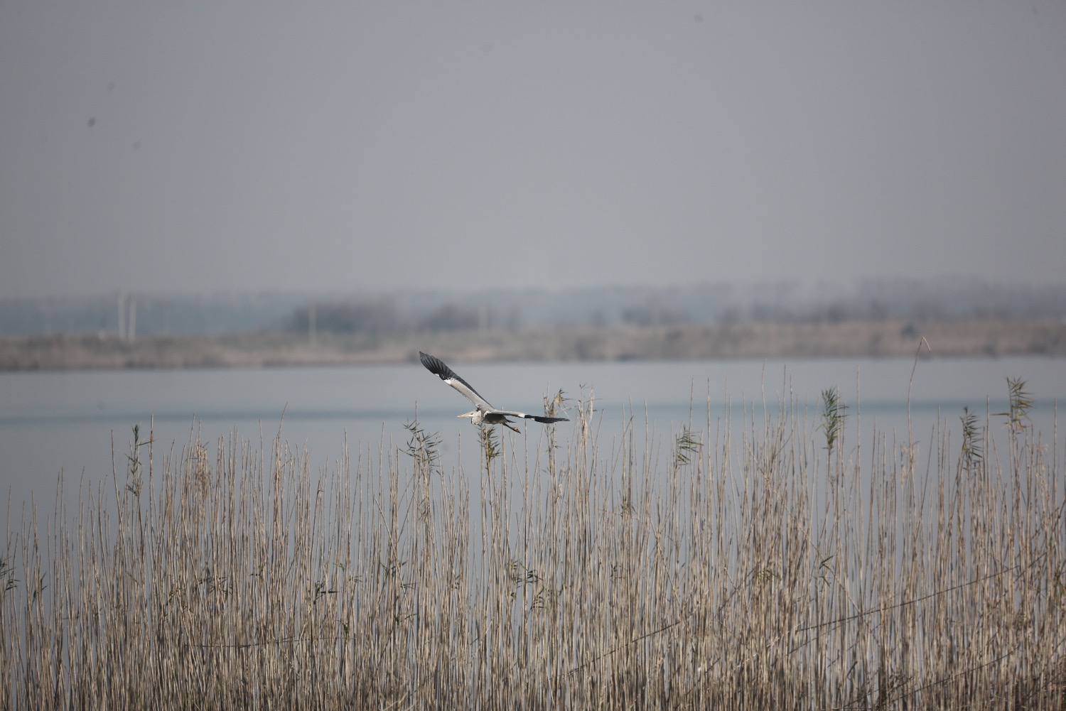 AAB90B5F-DF2C-4AB2-9F78-85093BC5134F.jpeg