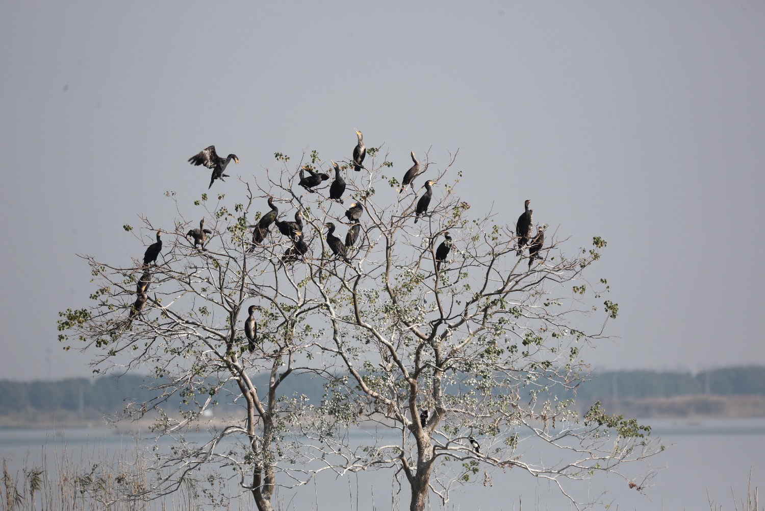 AAB90B5F-DF2C-4AB2-9F78-85093BC5134F.jpeg