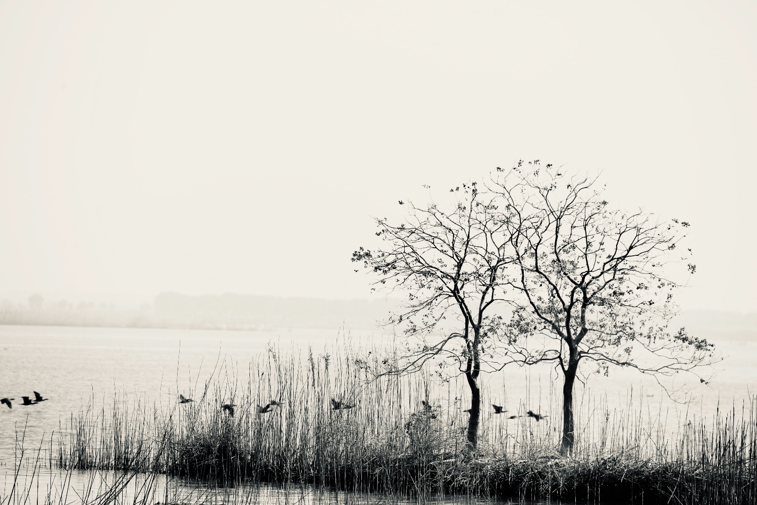 739ED56D-C55F-47AA-9EB7-EF963CB8152B.jpeg