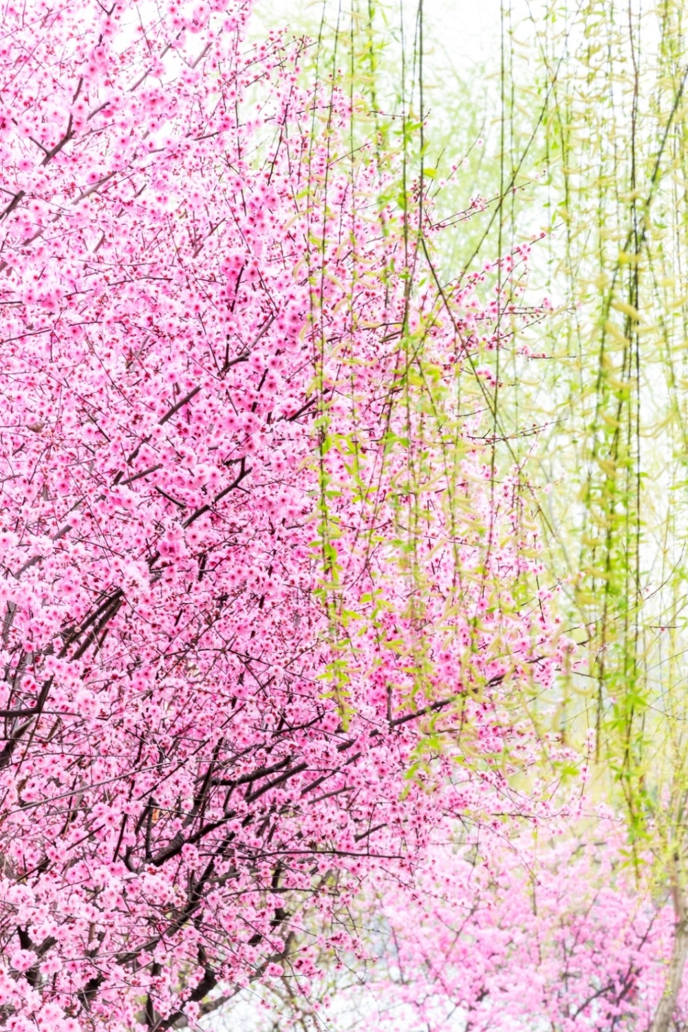 Screenshot_20210315_215200_com.fivehundredpx.viewer.main-01.jpeg