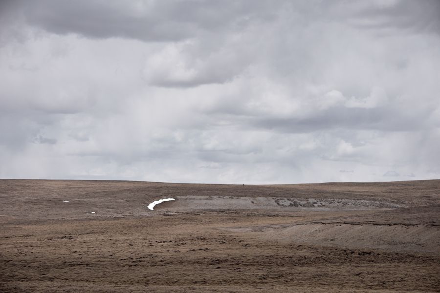 DSC_2465_.jpg