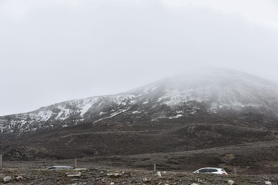 DSC_8892_副本.jpg