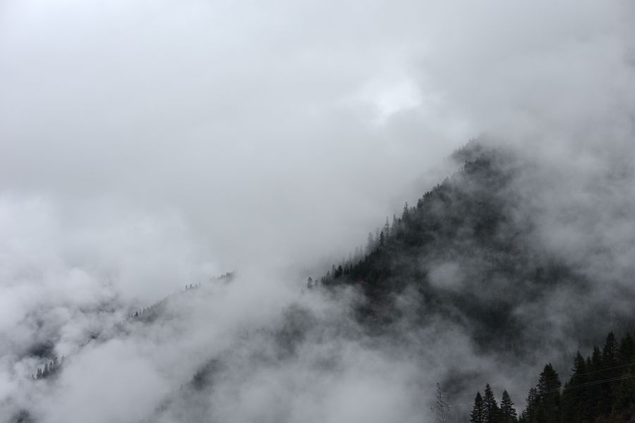DSC_8992_.jpg