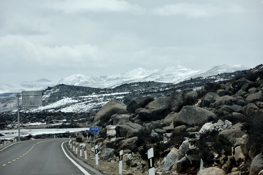 DSC_9316_.jpg