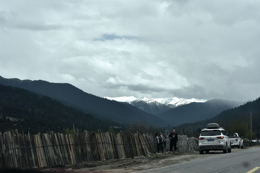 DSC_0683_.jpg