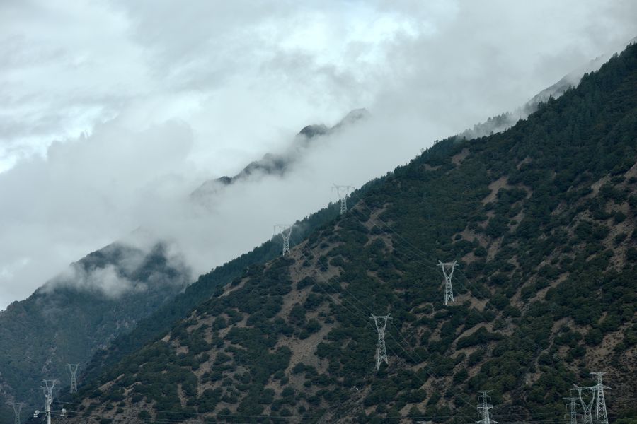 DSC_0723_.jpg