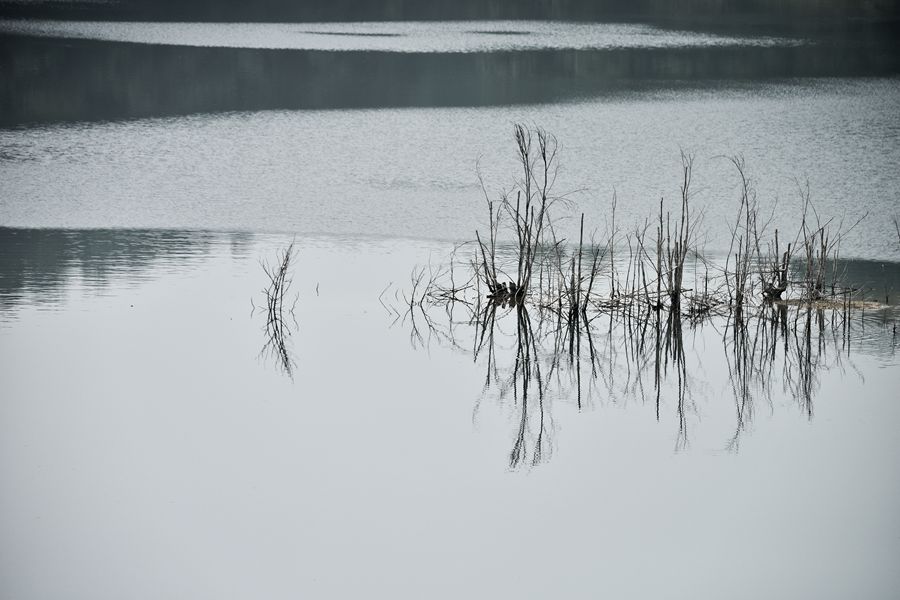 DSC_3521_.jpg
