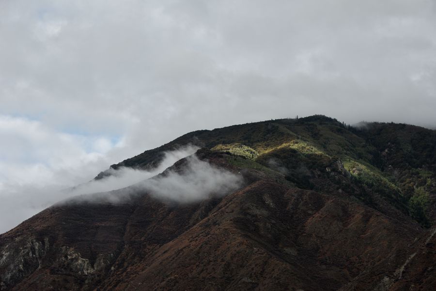 DSC_0030_.jpg