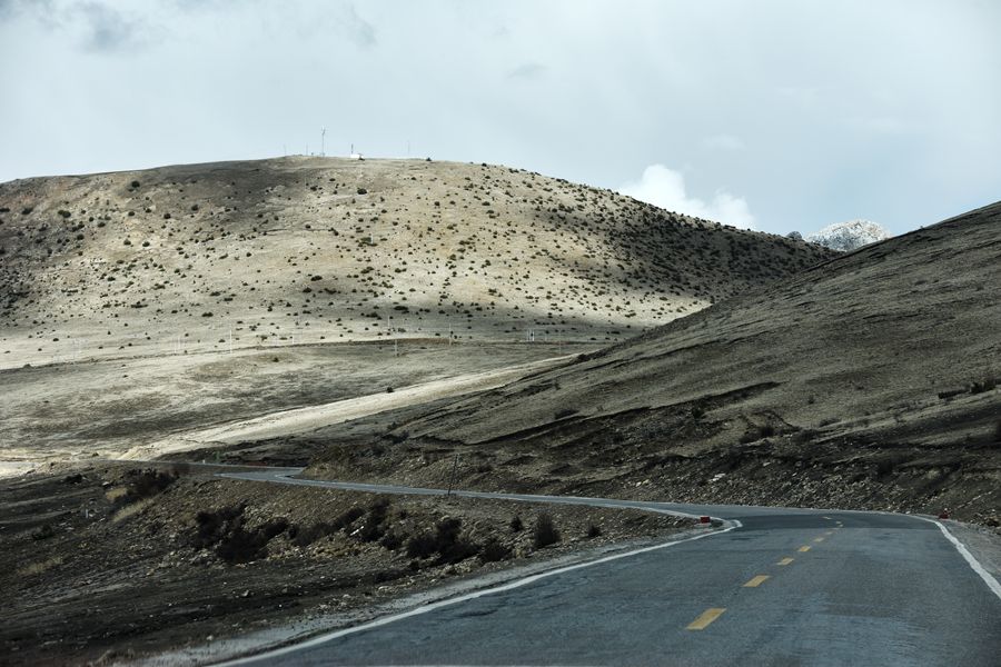 DSC_0248_.jpg