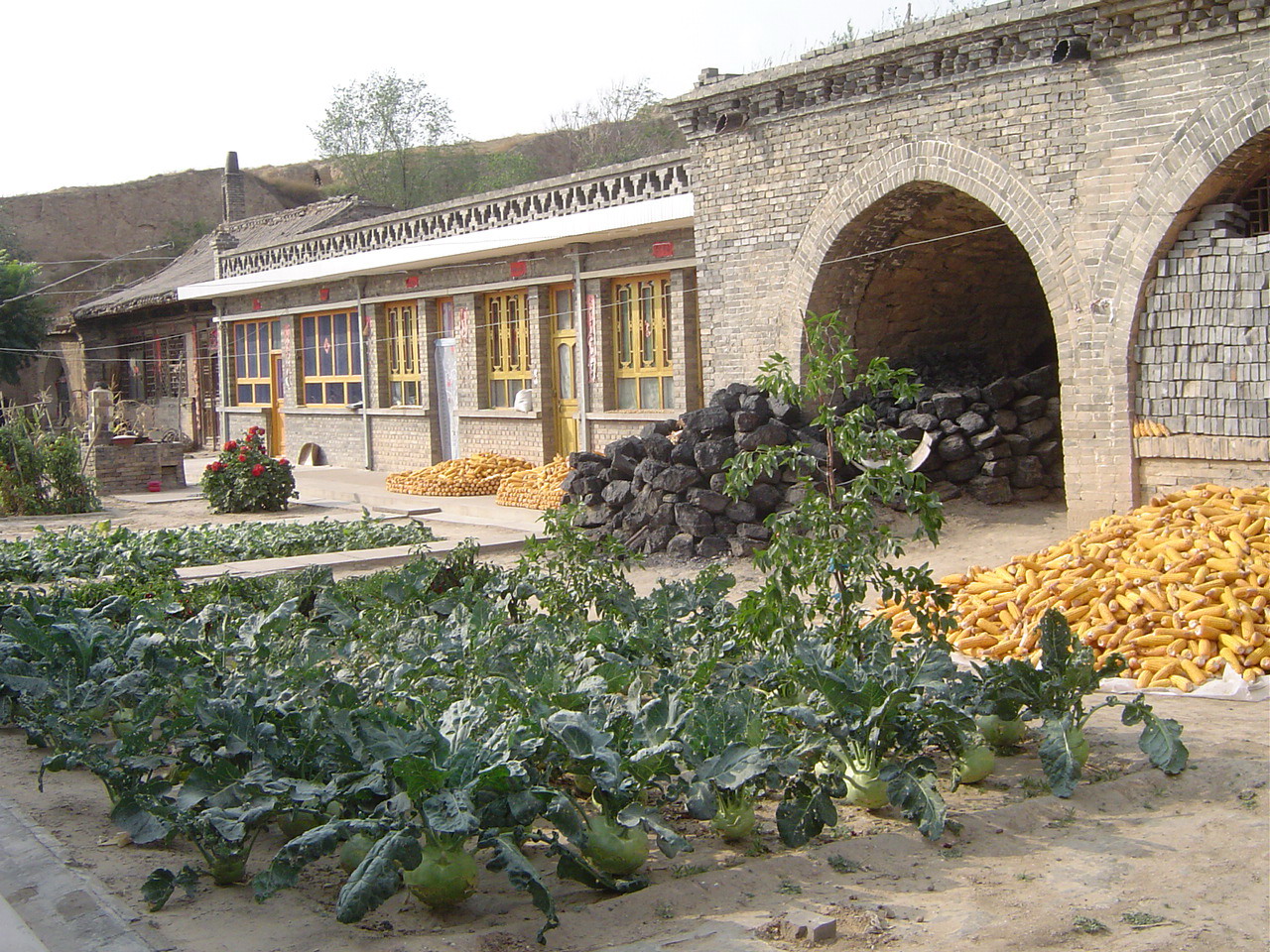 211.JPG