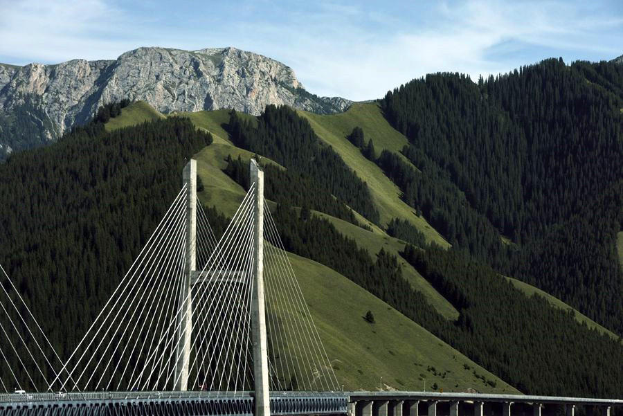_DSC4006__.jpg