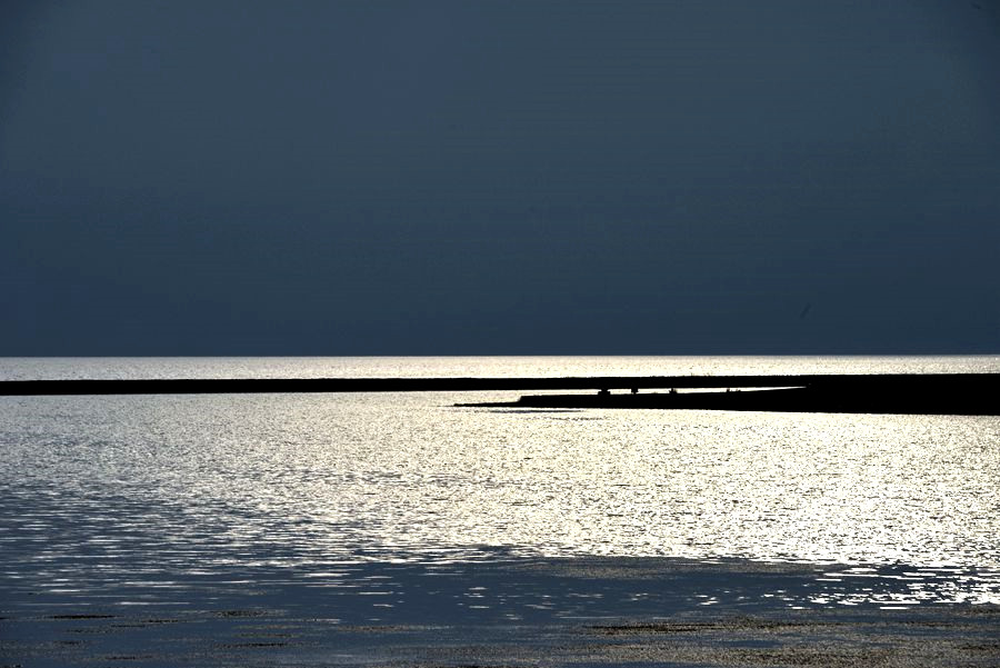 _DSC6701__.jpg