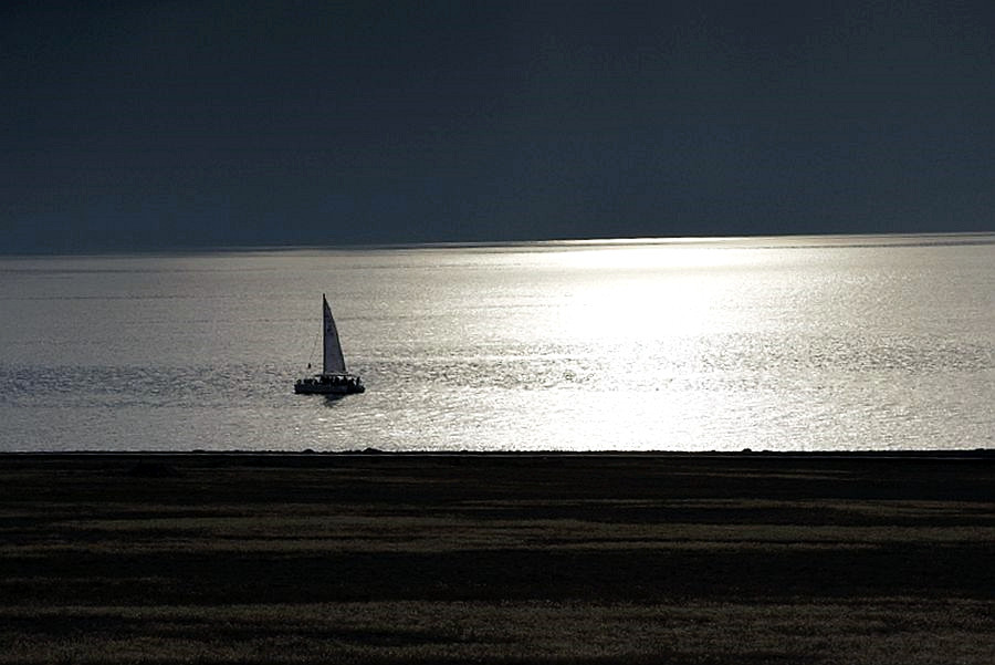 _DSC6712__.jpg