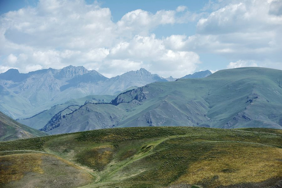 _DSC8518__.jpg