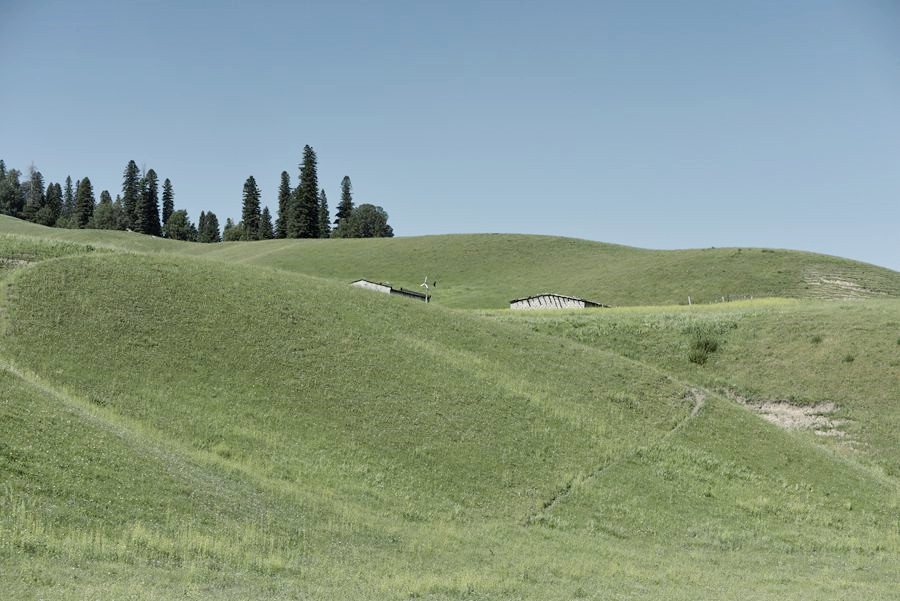 _DSC8530__.jpg