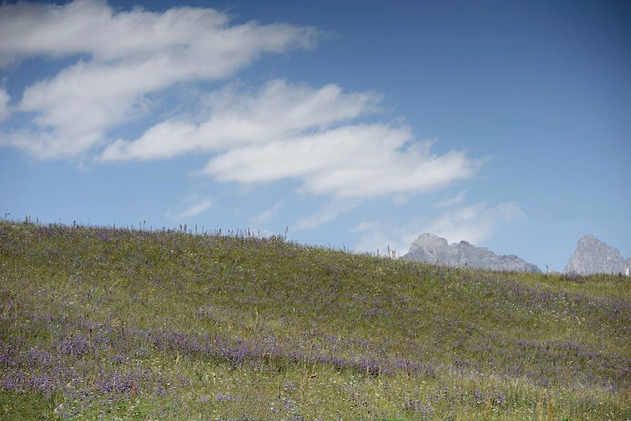 _DSC7505__.jpg