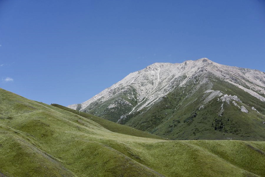 _DSC7559__.jpg