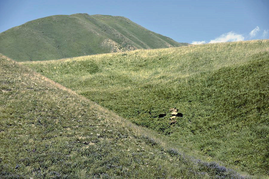 _DSC7568___.jpg