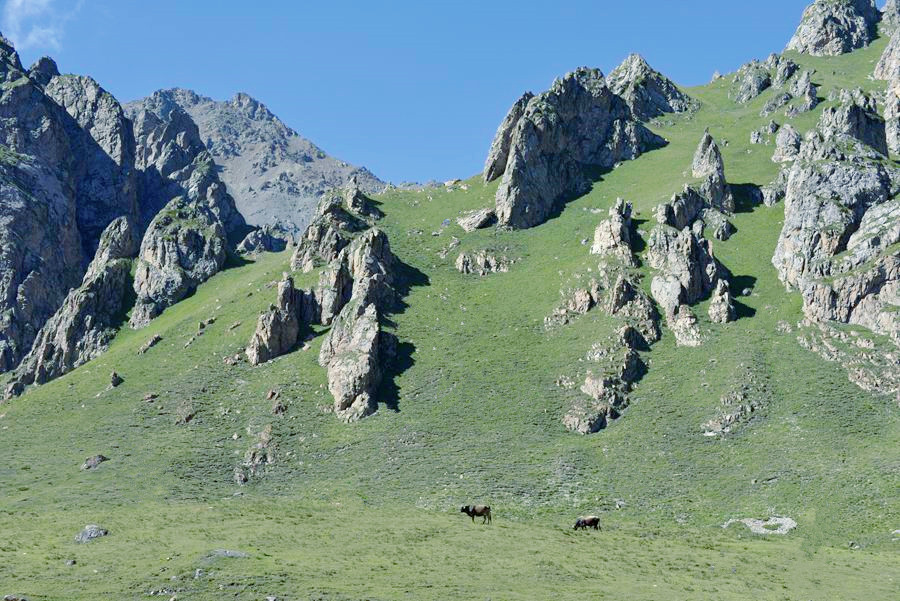 _DSC7607__.jpg