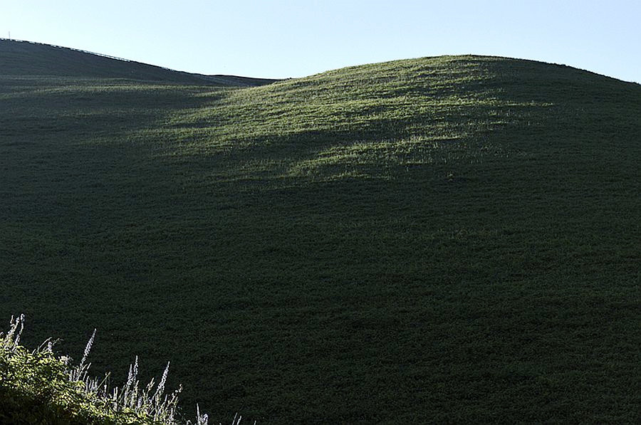 _DSC7706__.jpg
