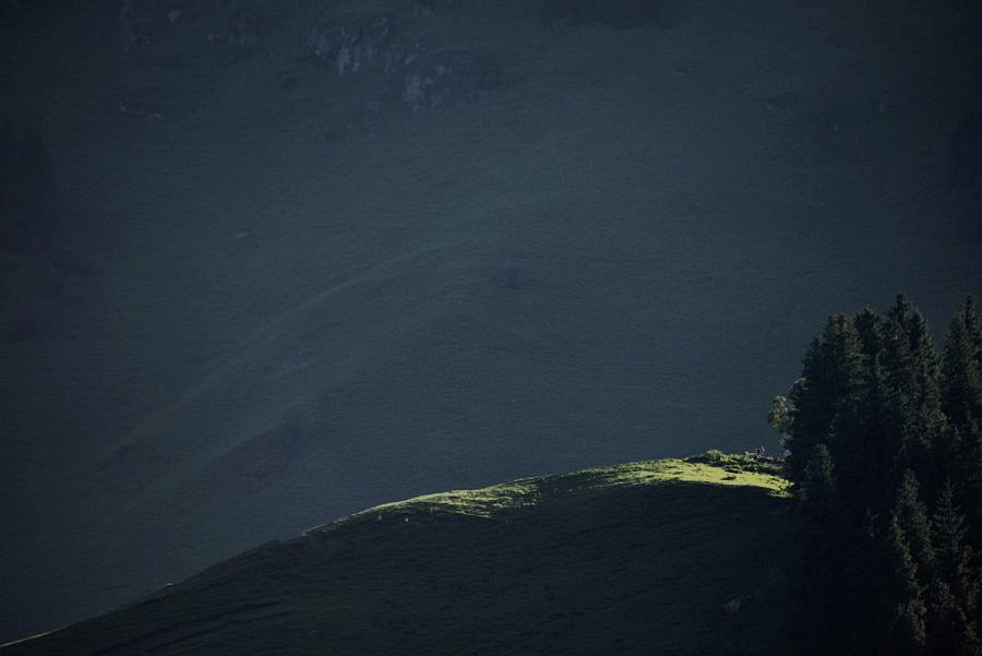_DSC7733__.jpg