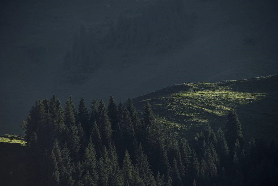 _DSC7743__.jpg