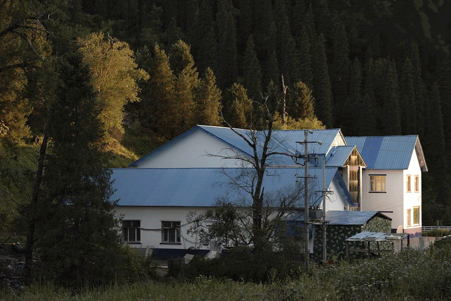 _DSC7789___.jpg