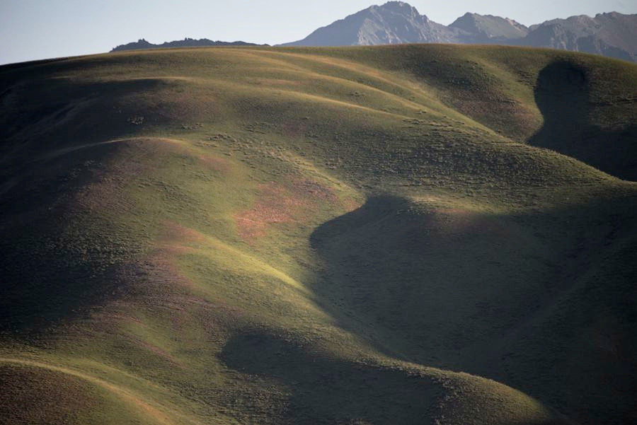_DSC7810__.jpg