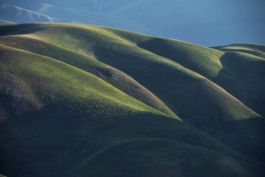 _DSC7813__.jpg