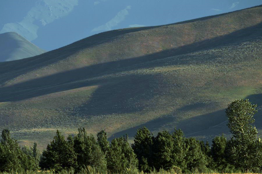 _DSC7826__.jpg
