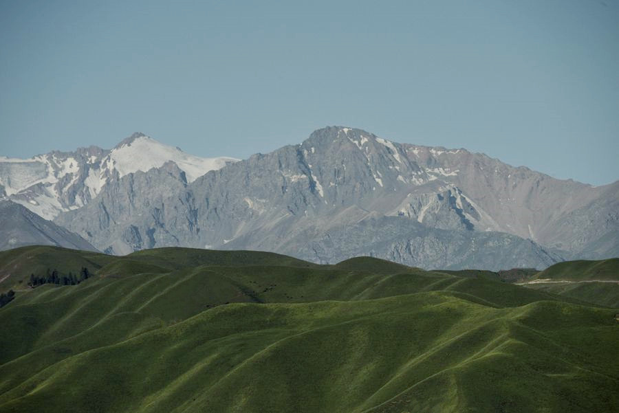 _DSC7828__.jpg