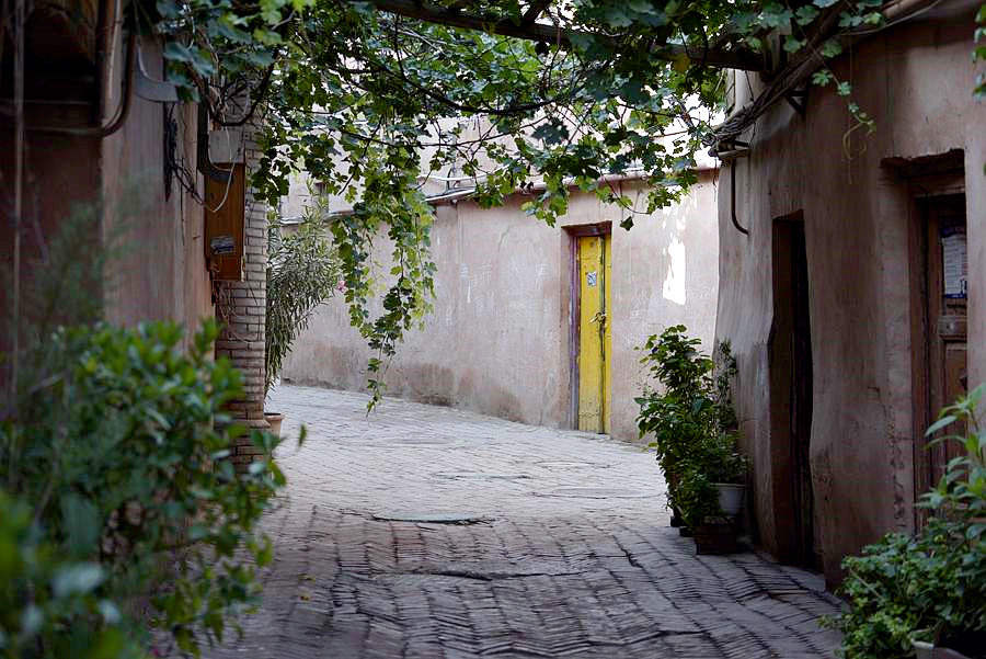 _DSC0082__.jpg