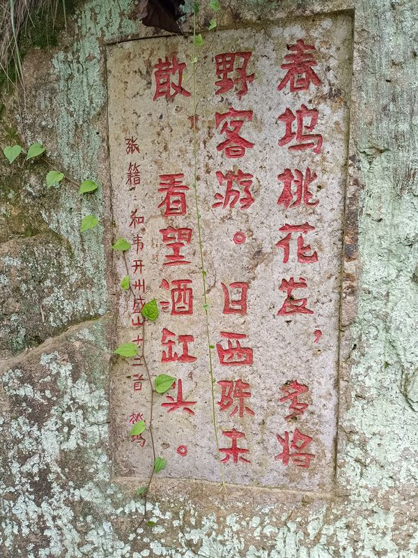 IMG_20210909_141311_副本.jpg
