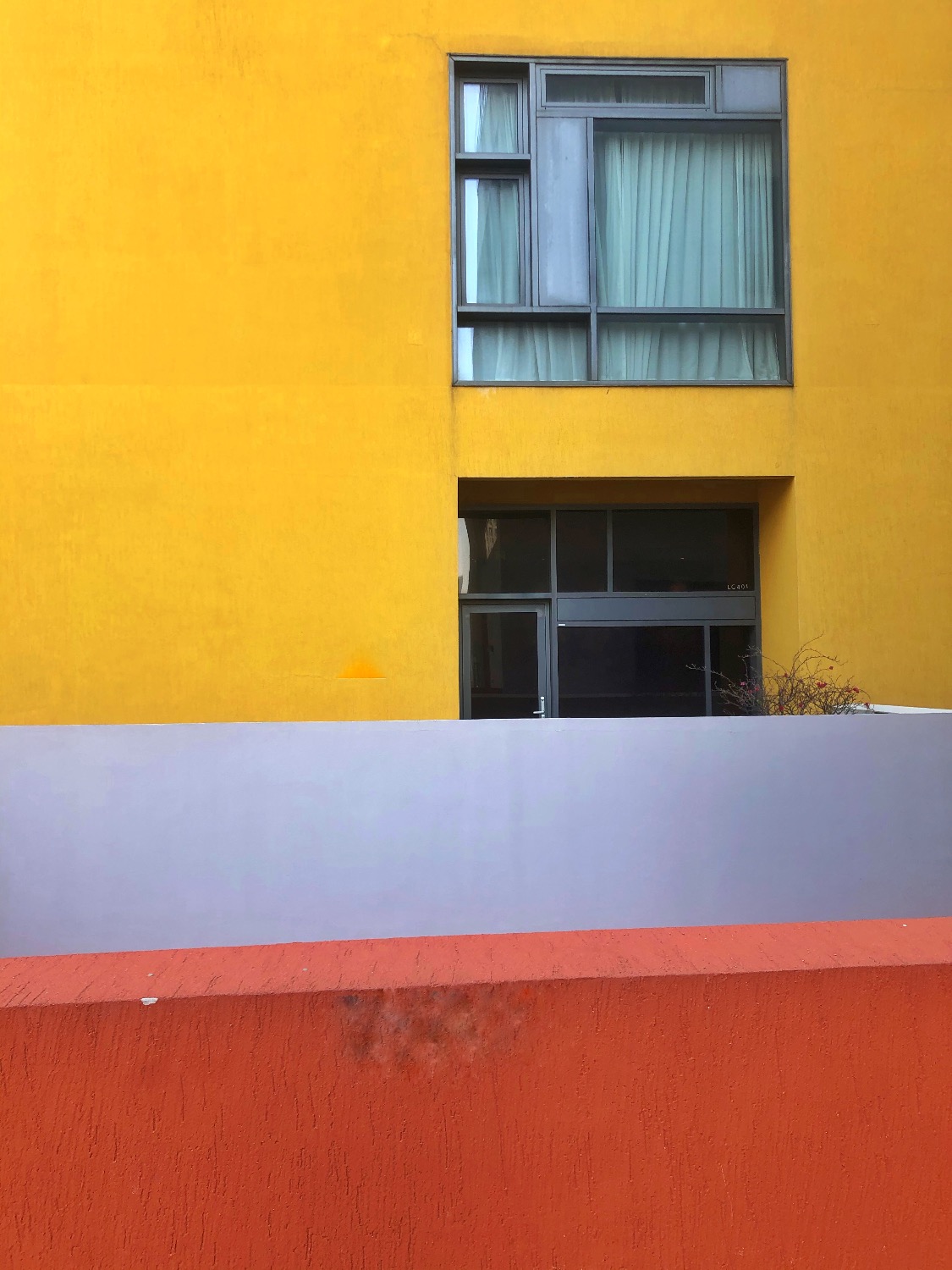 8C905924-90CE-4D0F-B89B-C60819F35441.jpeg