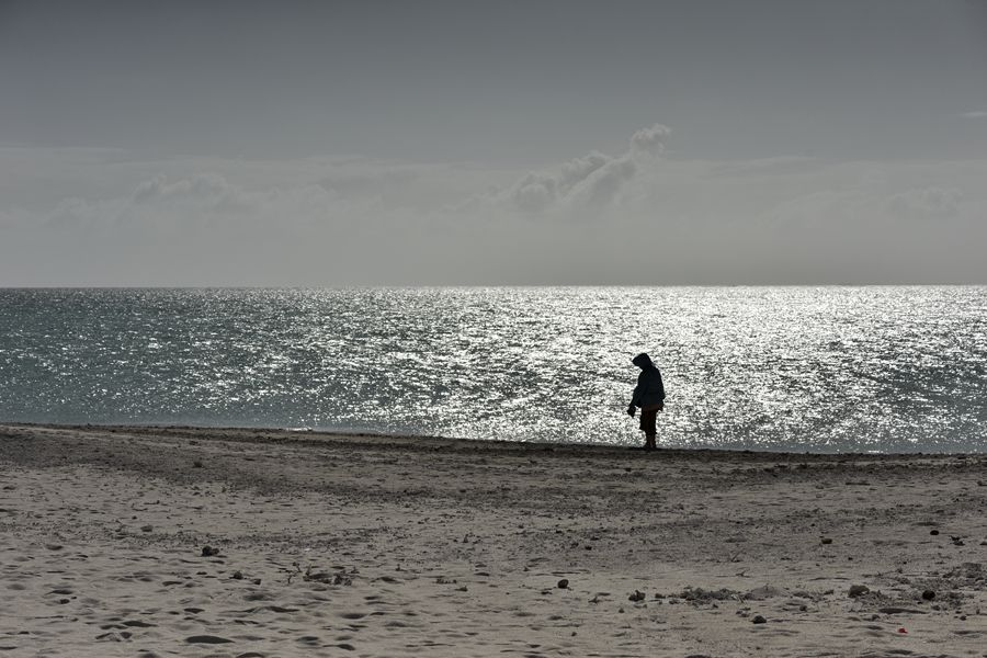 _DSC1211_.jpg