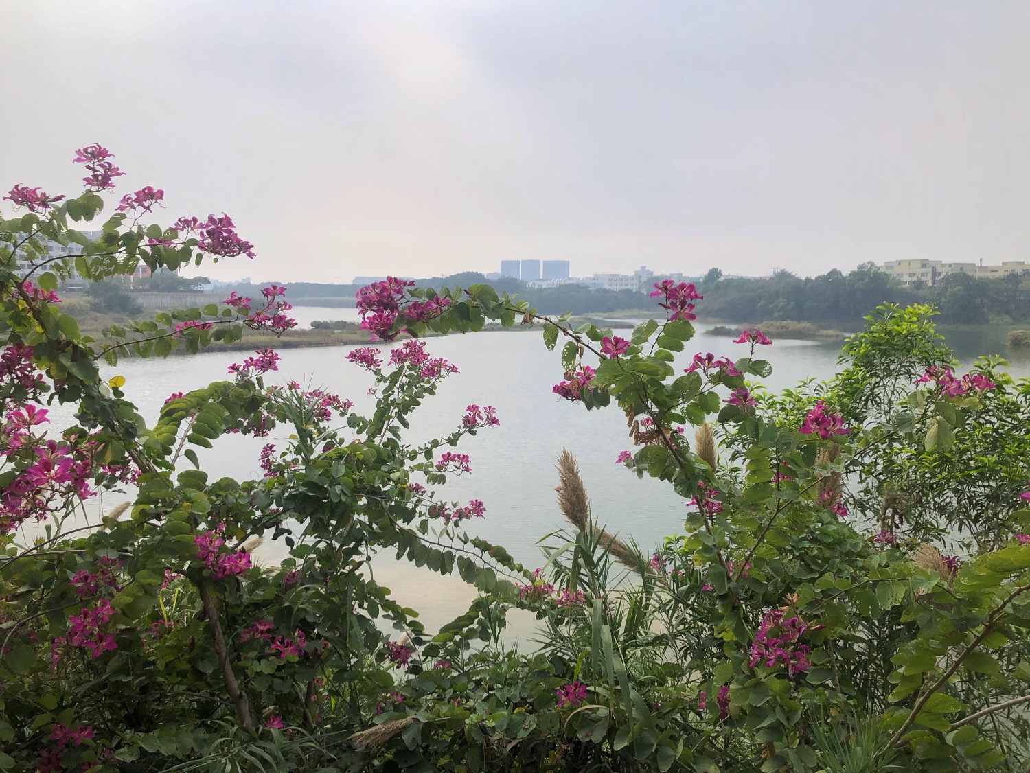 8C8649A8-965D-4159-BE73-1BFB91233F9A.jpeg