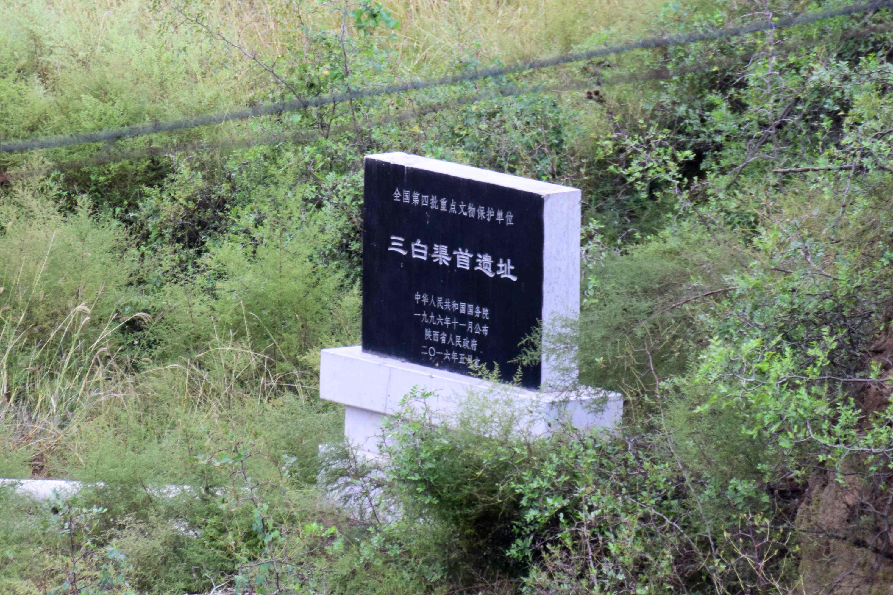 4361.JPG