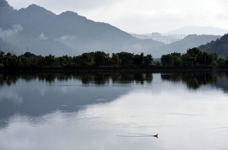 _DSC2485__.jpg