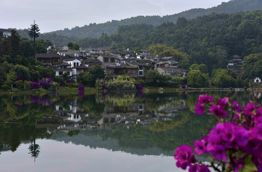 _DSC2507__.jpg